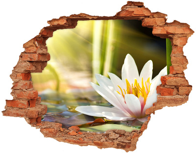 Hole wall sticker Water flower in the garden