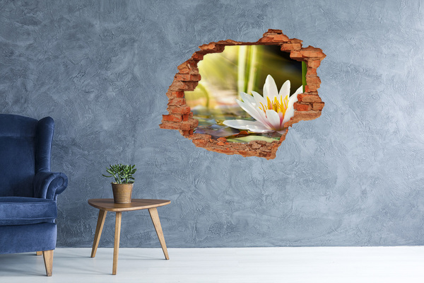 Hole wall sticker Water flower in the garden