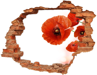 Hole in the wall decal Poppy flowers in a hole in the wall