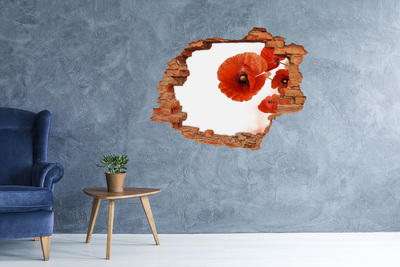 Hole in the wall decal Poppy flowers in a hole in the wall