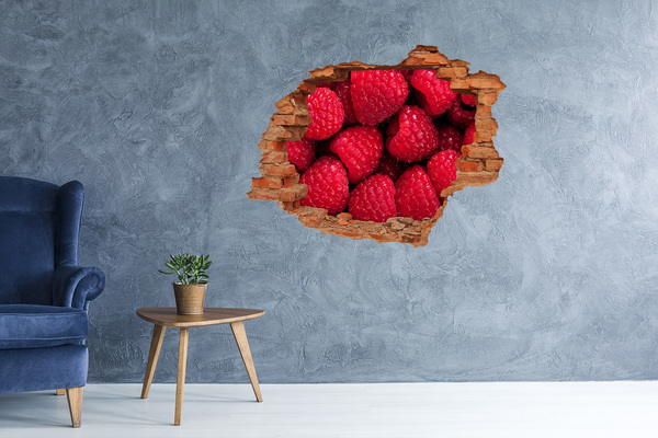 Hole in the wall sticker Raspberry veneer