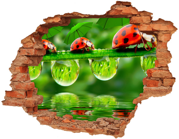 Hole in the wall decal A Drop of Nature with a Ladybug