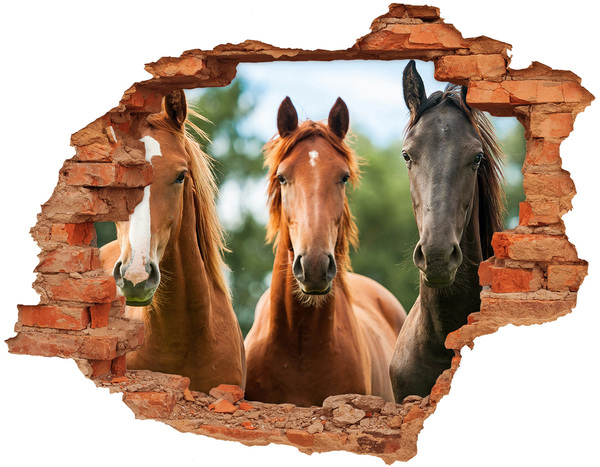 Hole in the wall sticker Horses in their natural habitat
