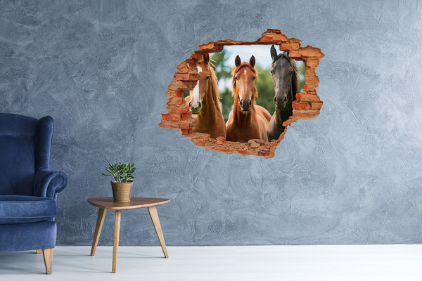 Hole in the wall sticker Three horses