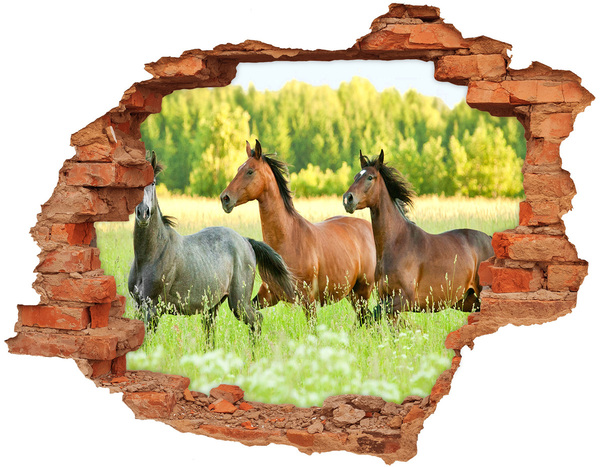 3D wall hole wallpaper Running horses in nature