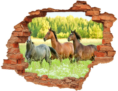 3D wall hole wallpaper Running horses in nature