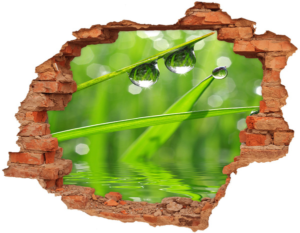 3D wall hole wallpaper Drops on the grass