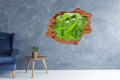 3D wall hole wallpaper Drops on the grass