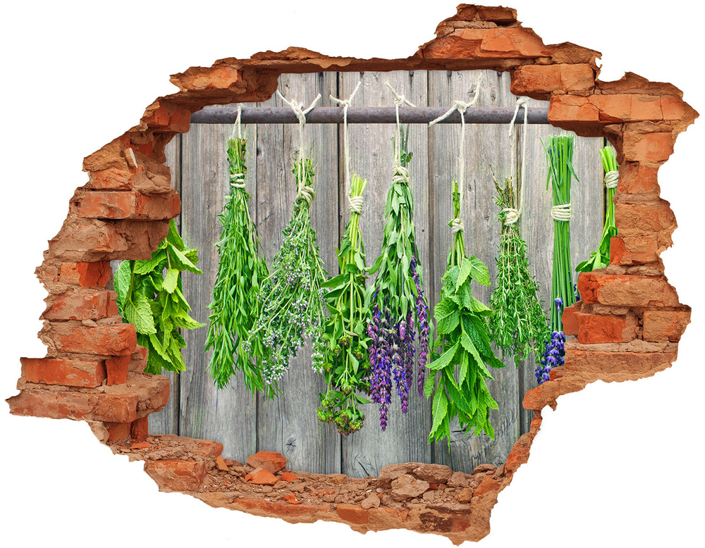 Hole wall sticker Herbs on a string