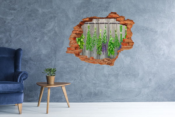 Hole wall sticker Herb garden behind the wall
