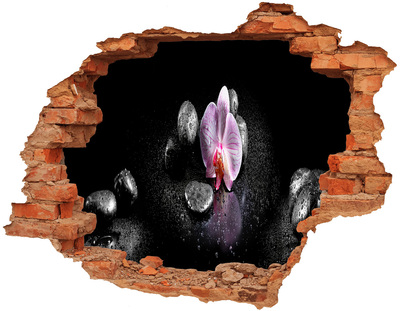 Hole wall sticker Orchid flower surrounded by stones