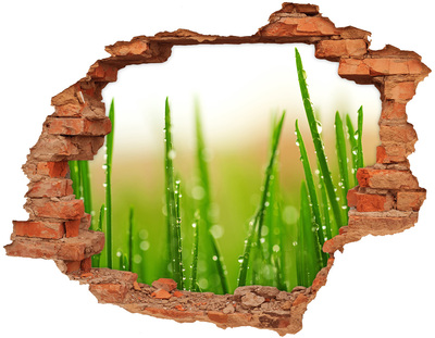 Hole in the wall sticker Green meadow with drops of water
