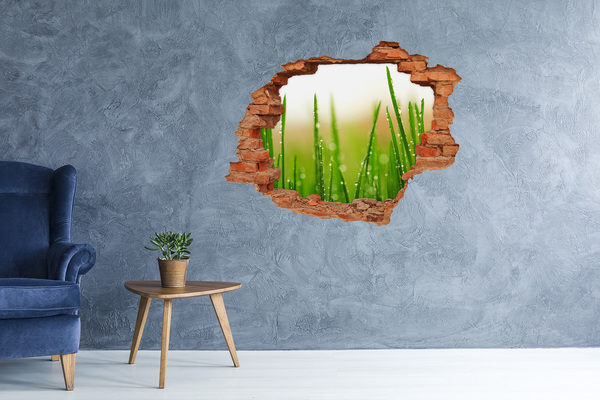 Hole in the wall sticker Green meadow with drops of water