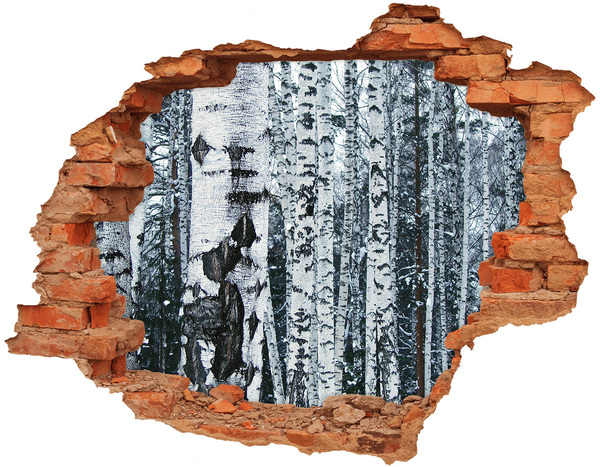 Hole in the wall decal Winter birch forest