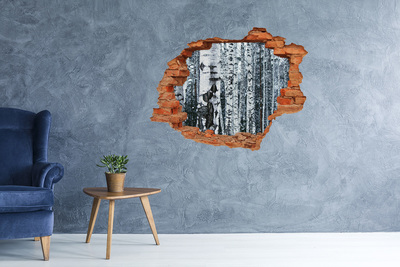 Hole in the wall decal Winter birch forest