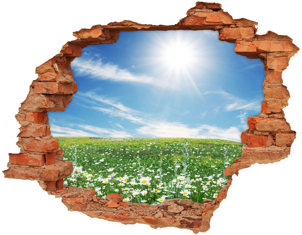 Hole in the wall sticker Meadow