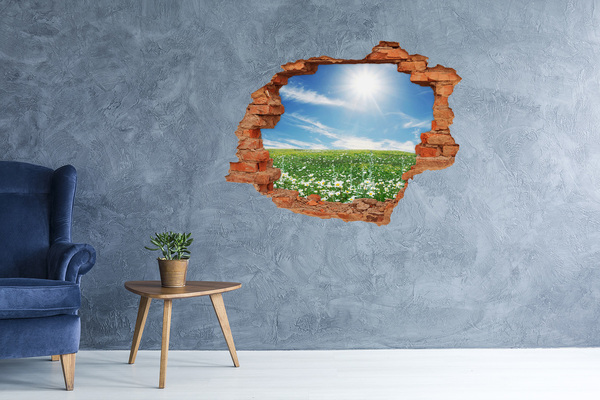 Hole in the wall sticker A flower meadow under a blue sky