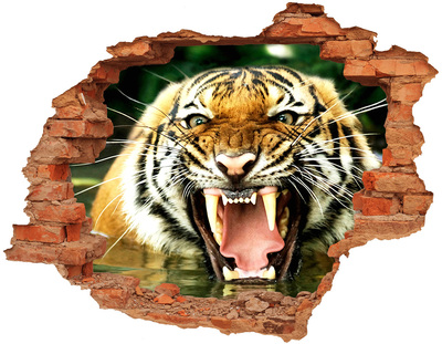 Hole in the wall decal Tiger in action