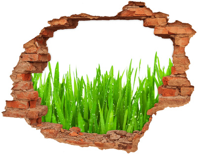 Hole in the wall sticker Green meadow through a hole in the wall