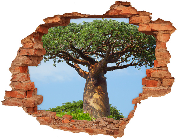 Hole in the wall sticker Baobab in a hole in the wall