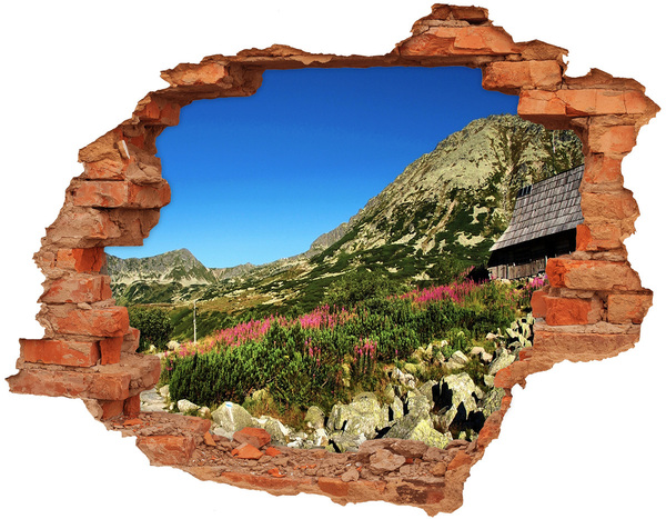 Hole in the wall decal Mountain landscape in a hole in the wall
