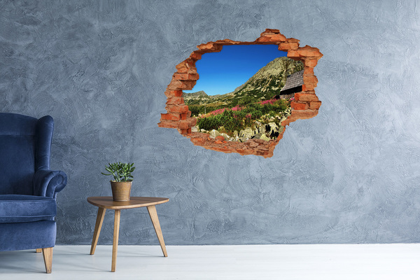 Hole in the wall decal Mountain landscape in a hole in the wall