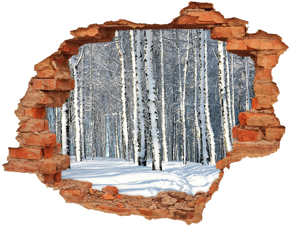 Hole in the wall decal Winter forest in white