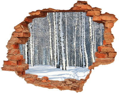 Hole in the wall decal Winter forest in white