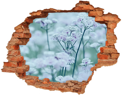 Hole in the wall sticker Jarzmianka greater