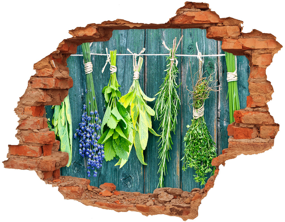 Hole in the wall decal Herbs on a string