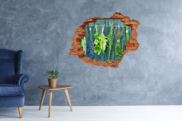 Hole in the wall decal Herbs on a string