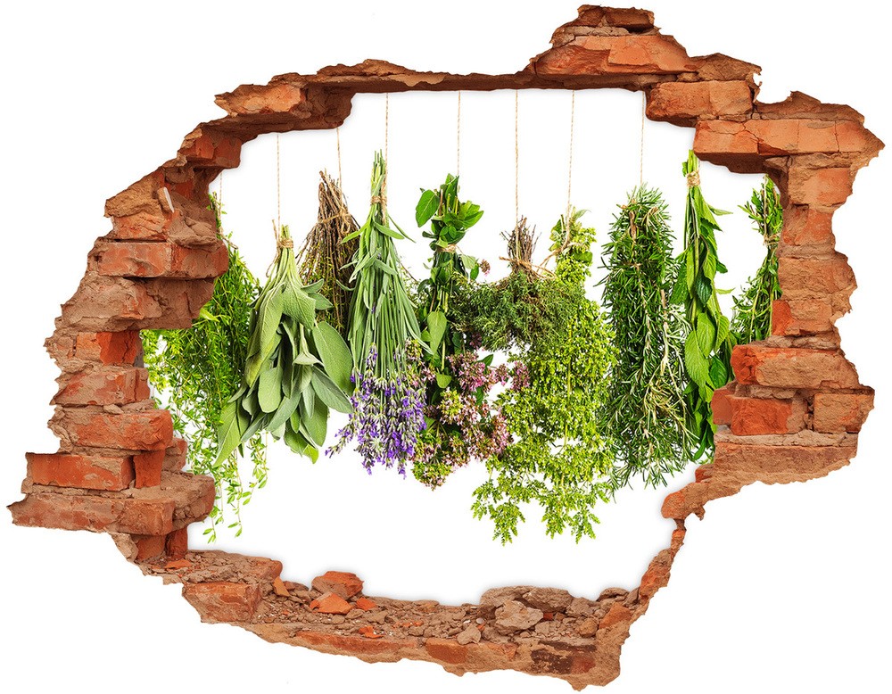 3D wall hole Herbs on a string