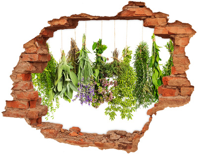 3D wall hole Green herb garden