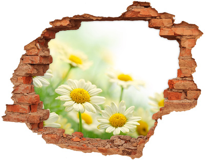 Hole wall sticker A flower paradise behind the wall