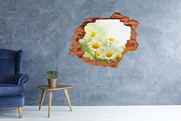 Hole wall sticker Daisy