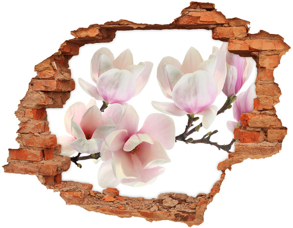 Hole wall sticker Magnolia flowers through a hole in the wall
