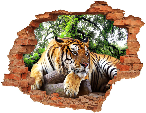 Hole in the wall decal Tiger on the rock