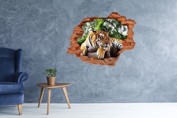 Hole in the wall decal Tiger on the rock