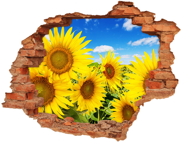 Hole in the wall decal A flower paradise with sunflowers