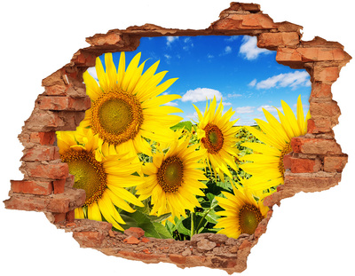 Hole in the wall decal A flower paradise with sunflowers