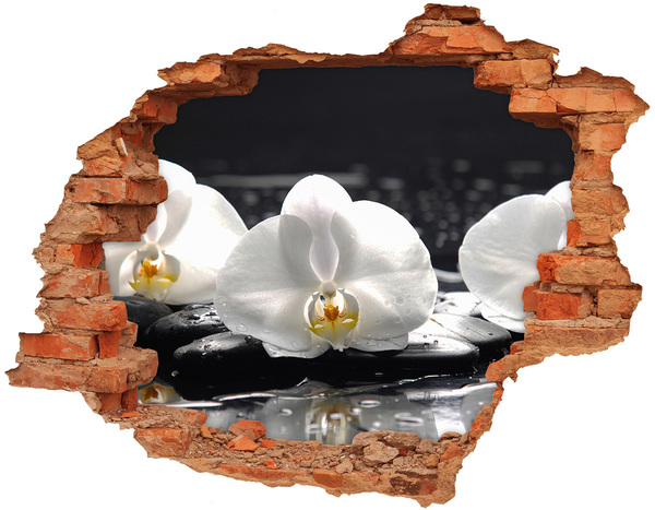 3D wall hole Orchid flower on the water