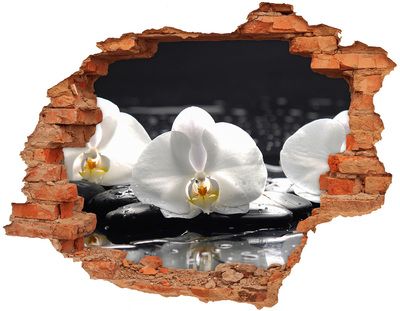 3D wall hole Orchid flower on the water