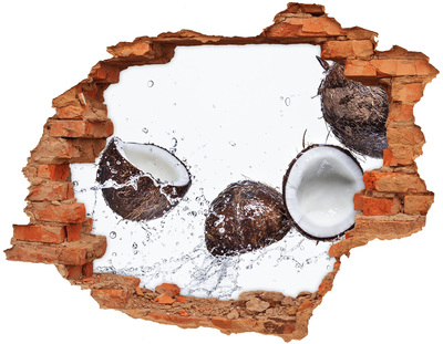 3D wall hole Coconut with water