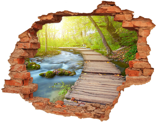 3D wall hole wallpaper Forest path by the river