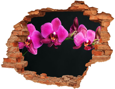 3D wall hole wallpaper Orchid through the wall