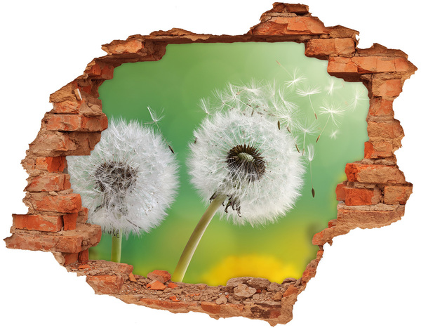 Hole in the wall decal Dandelions in a green background