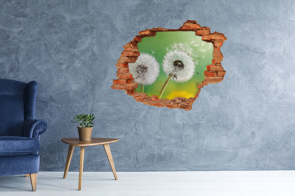 Hole in the wall decal Dandelions in a green background