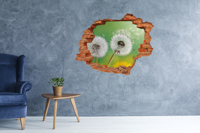 Hole in the wall decal dandelions