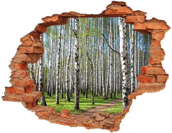 Hole in the wall sticker Birch forest