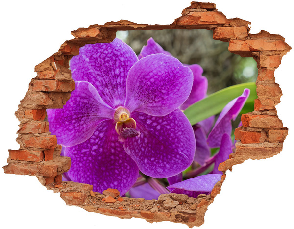Hole in the wall sticker Orchid flower in a hole in the wall